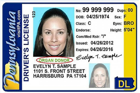 dmv duplicate license pa