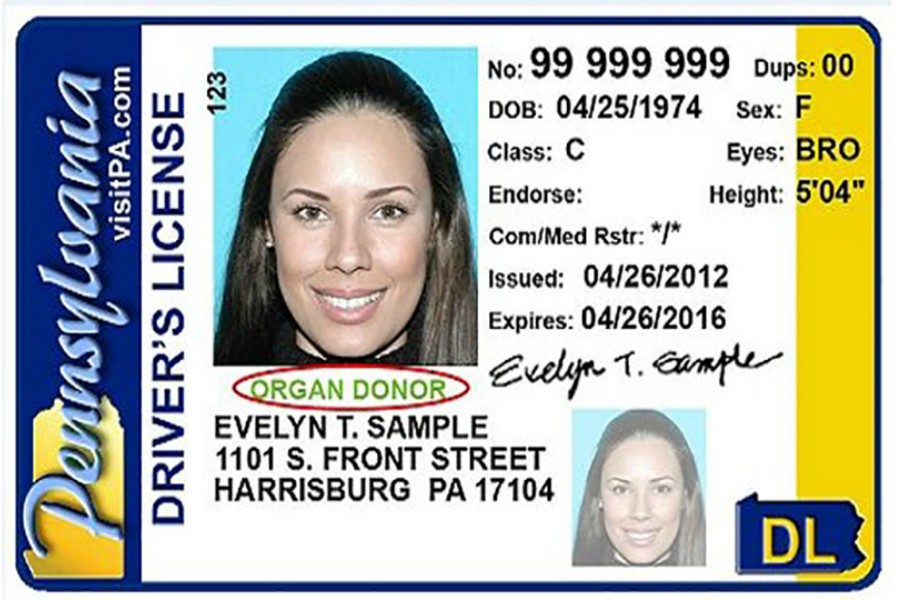 real id, license