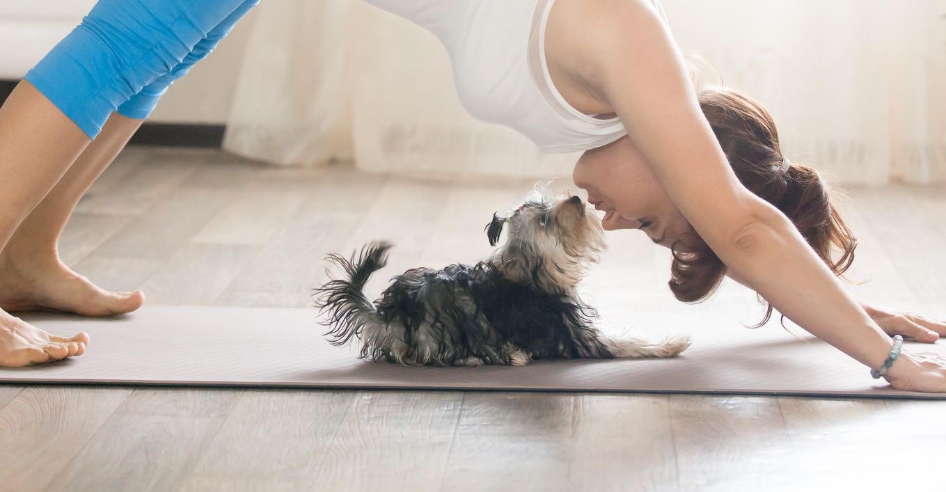 15 Ways to Get Your Animal Yoga Fix in the Philly Area This Summer -  Philadelphia Magazine