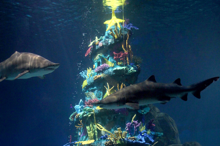A Parent's Guide to Adventure Aquarium's Christmas Underwater Philadelphia Magazine