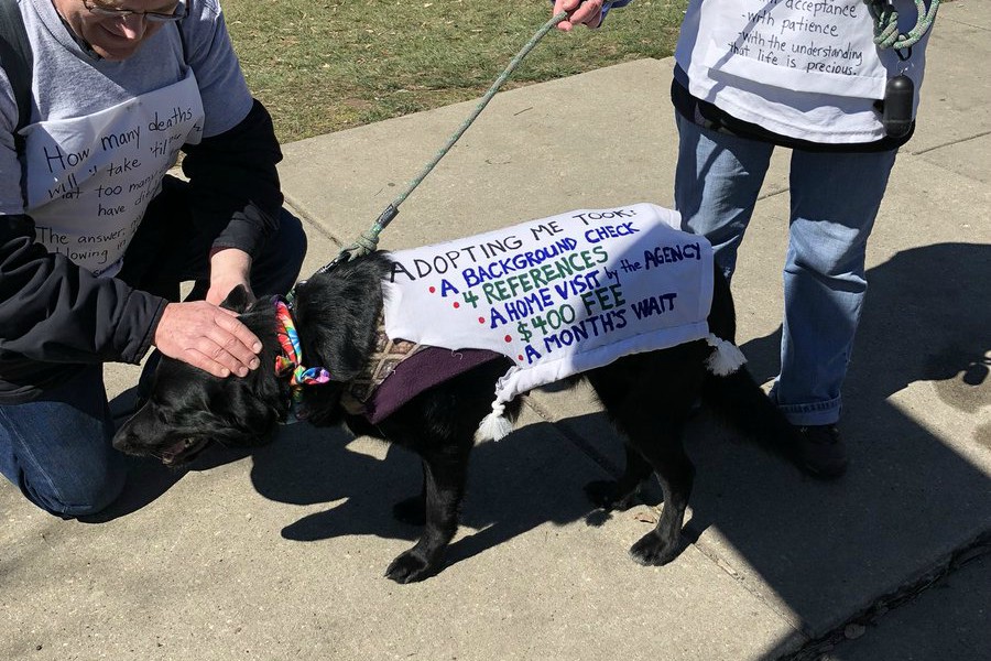 march for our lives