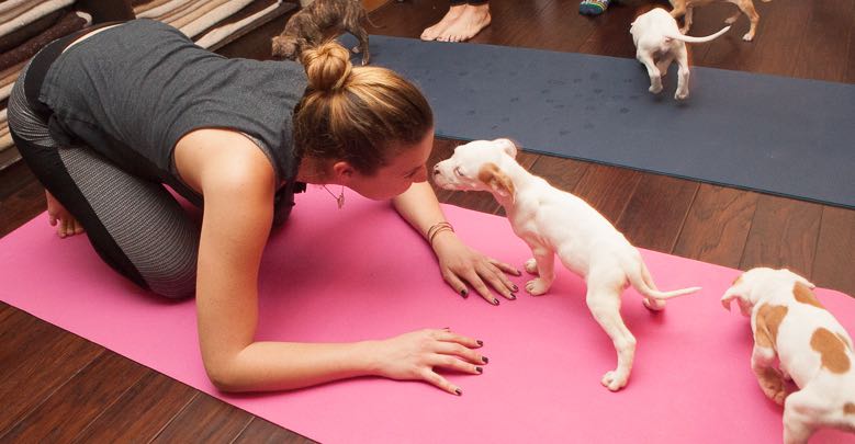 5 Things to Know Before You Try Puppy Yoga
