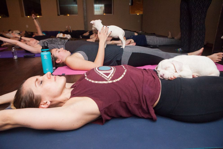 5 Things to Know Before You Try Puppy Yoga