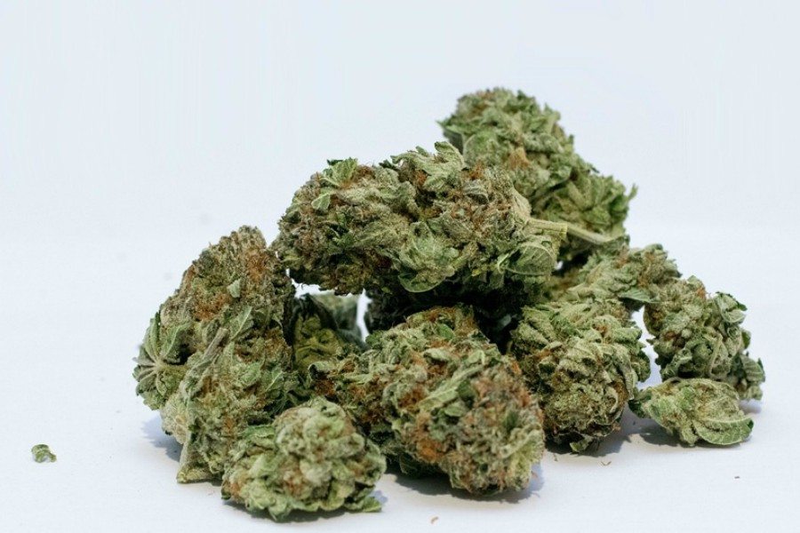 dried marijuana