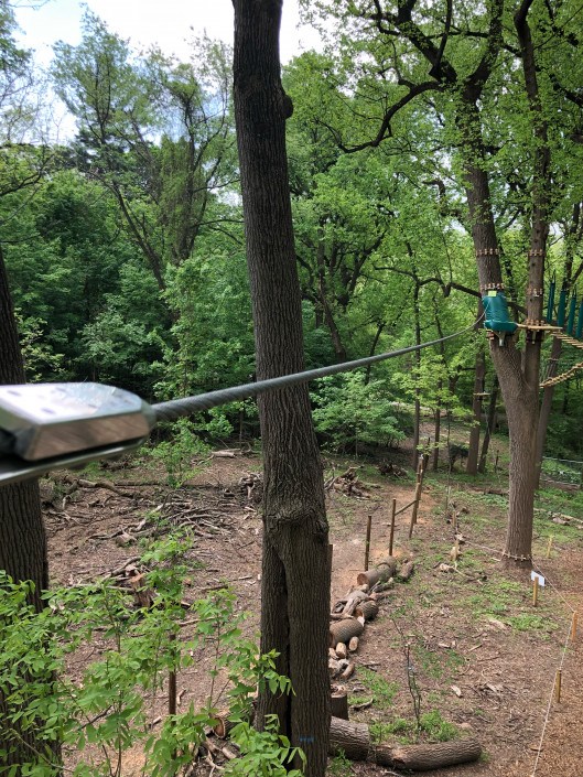 Treetops Quest Zip Line and Ropes Course Is Opening in Philadelphia