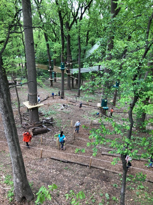 Treetops Quest Zip Line and Ropes Course Is Opening in Philadelphia