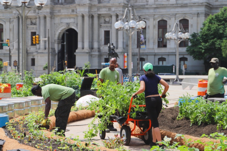 farm for the city