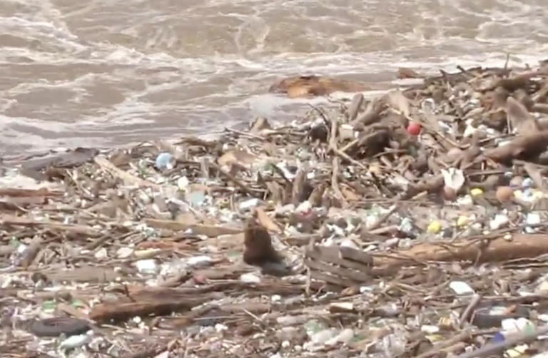 WATCH The Schuylkill Is a Trash Heap After Heavy Rain and Flash Floods