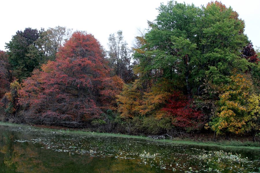fall foliage hikes