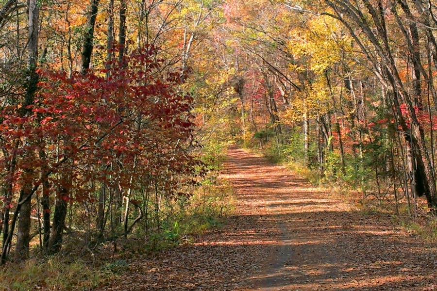 fall foliage hikes