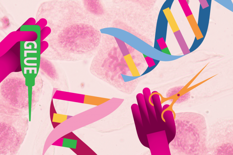 what does genetic testing for breast cancer tell you