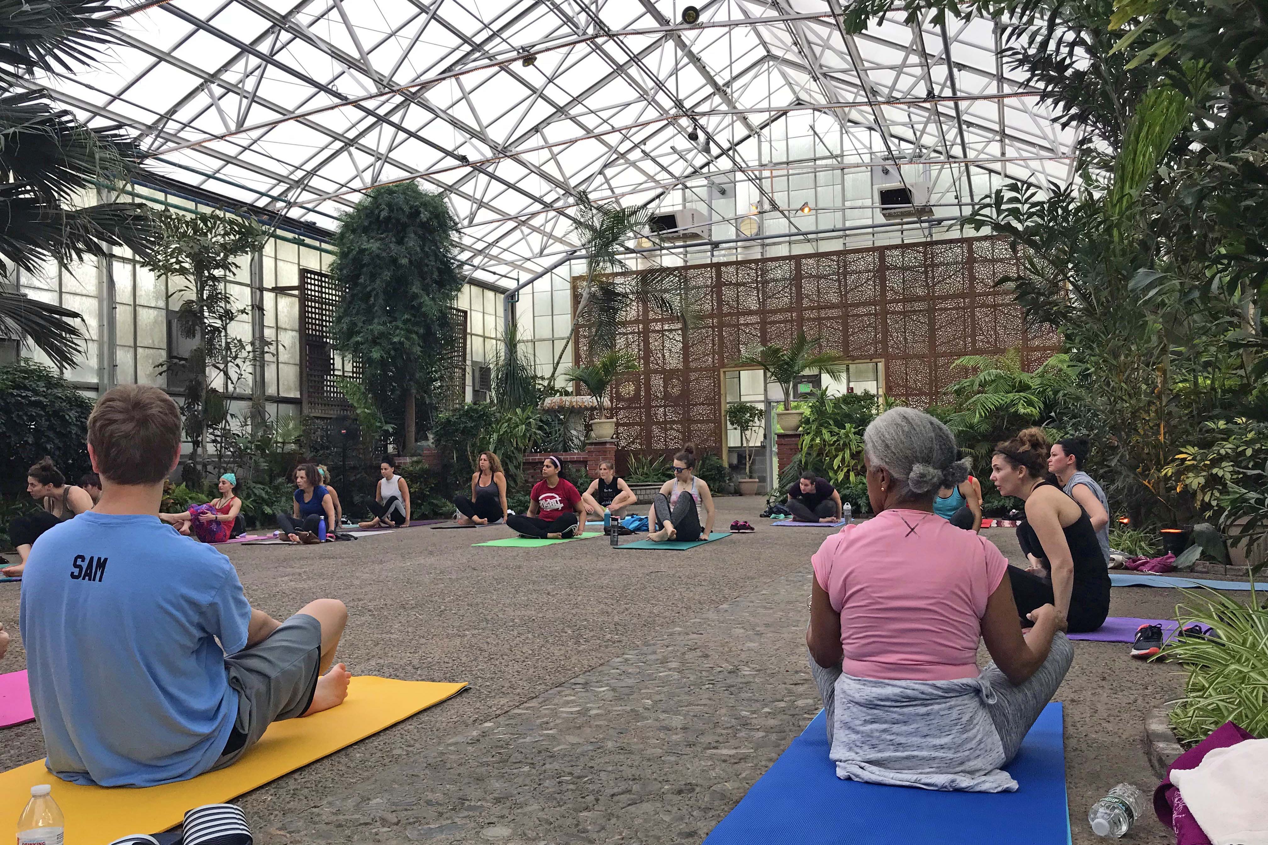 fairmount park greenhouse yoga
