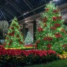 longwood-christmas