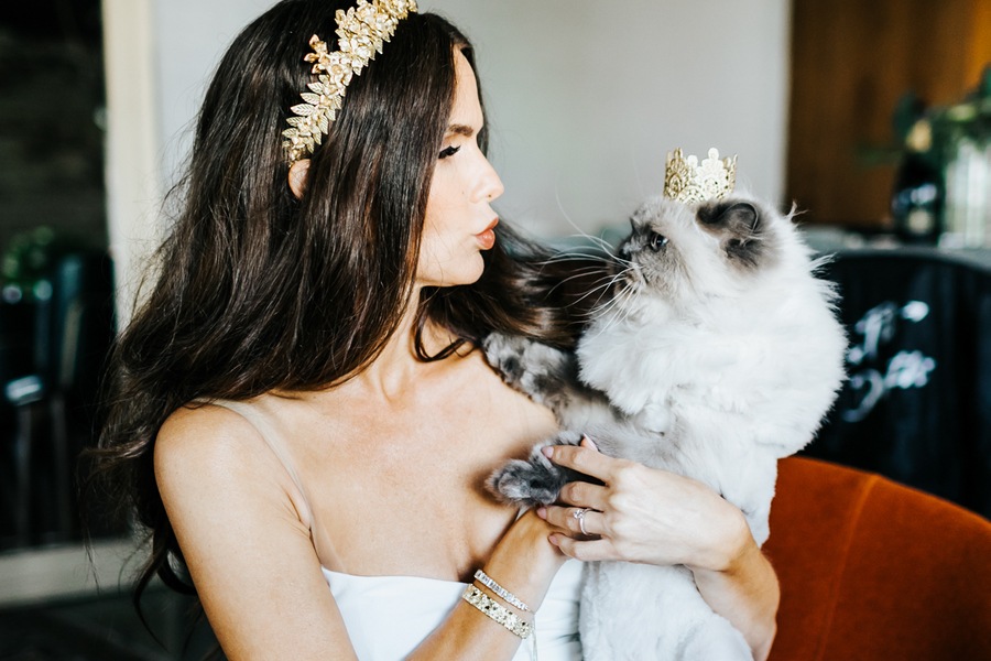 bride with cat