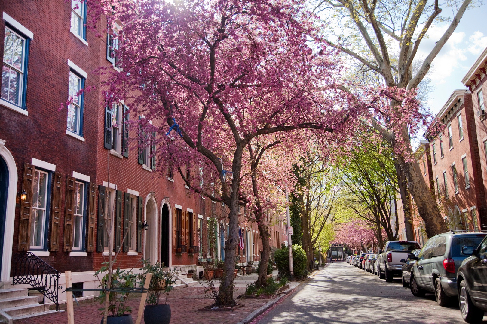 fairmount neighborhood guide cherry blossoms on fairmount street