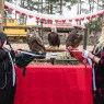 temple university owl mascot wedding