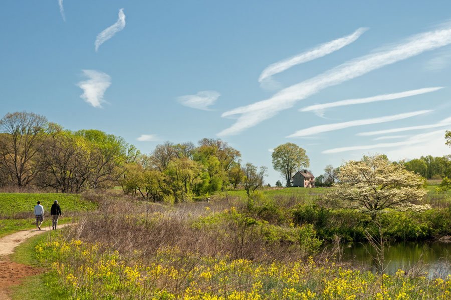 meadow-walk