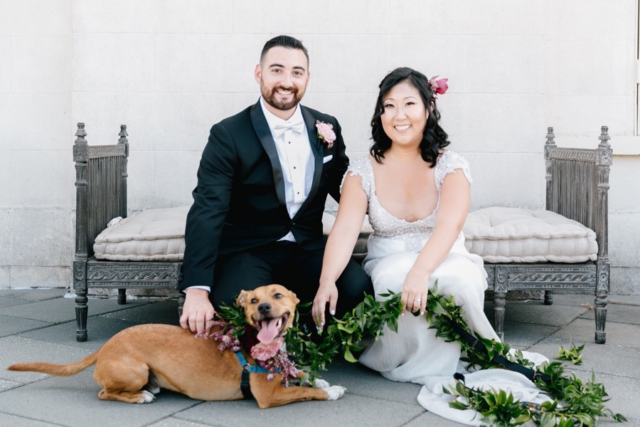 wedding portrait dog