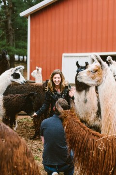 A Llama Farm Marriage Proposal at WoodsEdge Farm