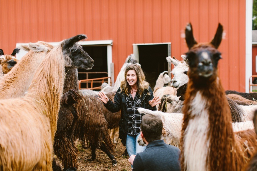 llama farm proposal