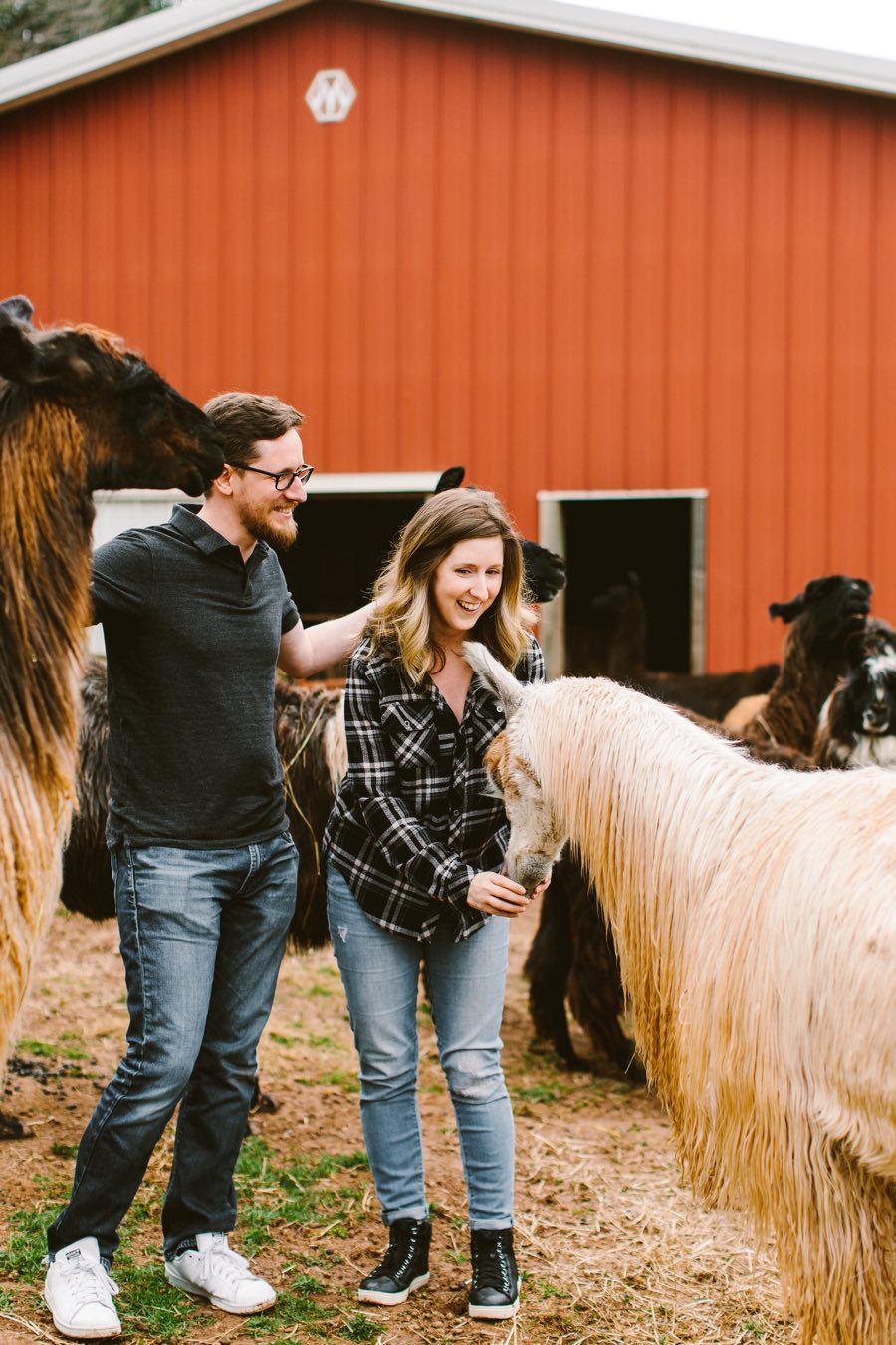 llama farm proposal