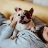 dog-health-benefits