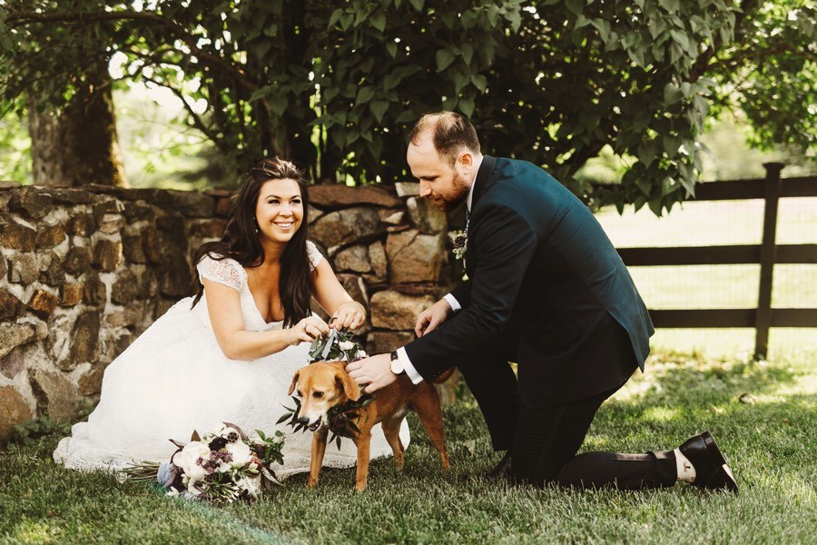 bride and groom with dog