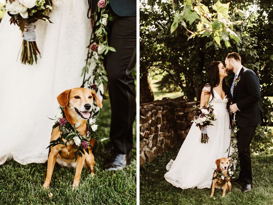 bride and groom with dog