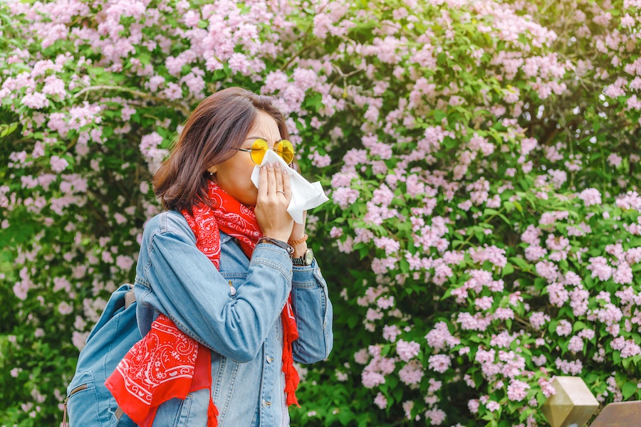 allergy relief options