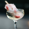 champagne popsicles