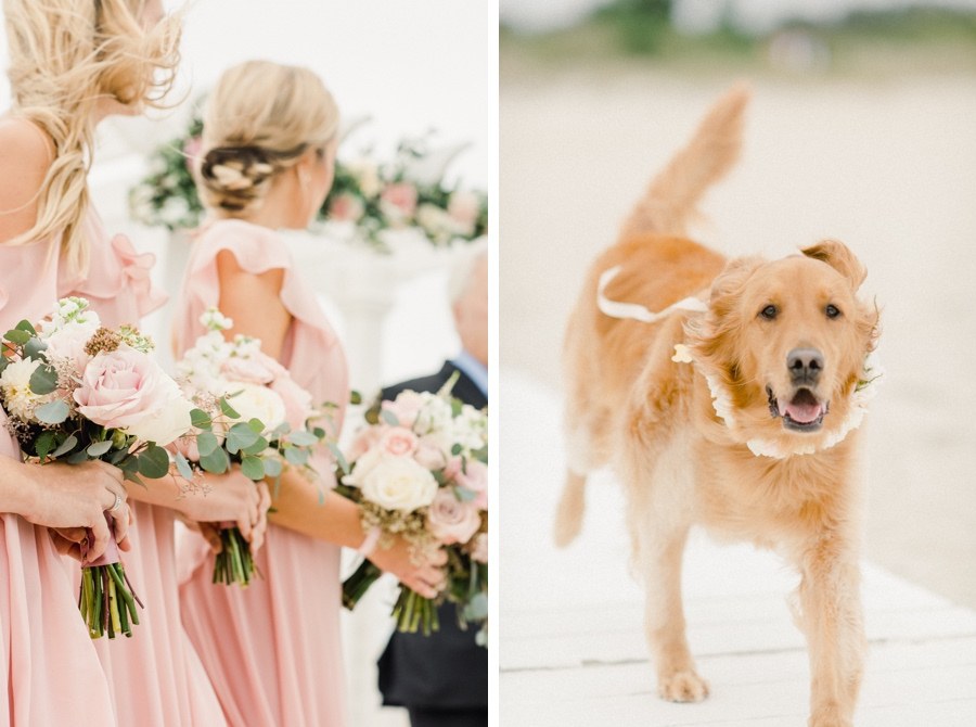 Golden retriever flower girl