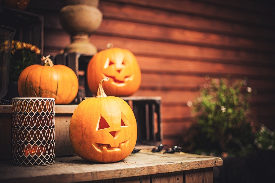 national halloween association pumpkin