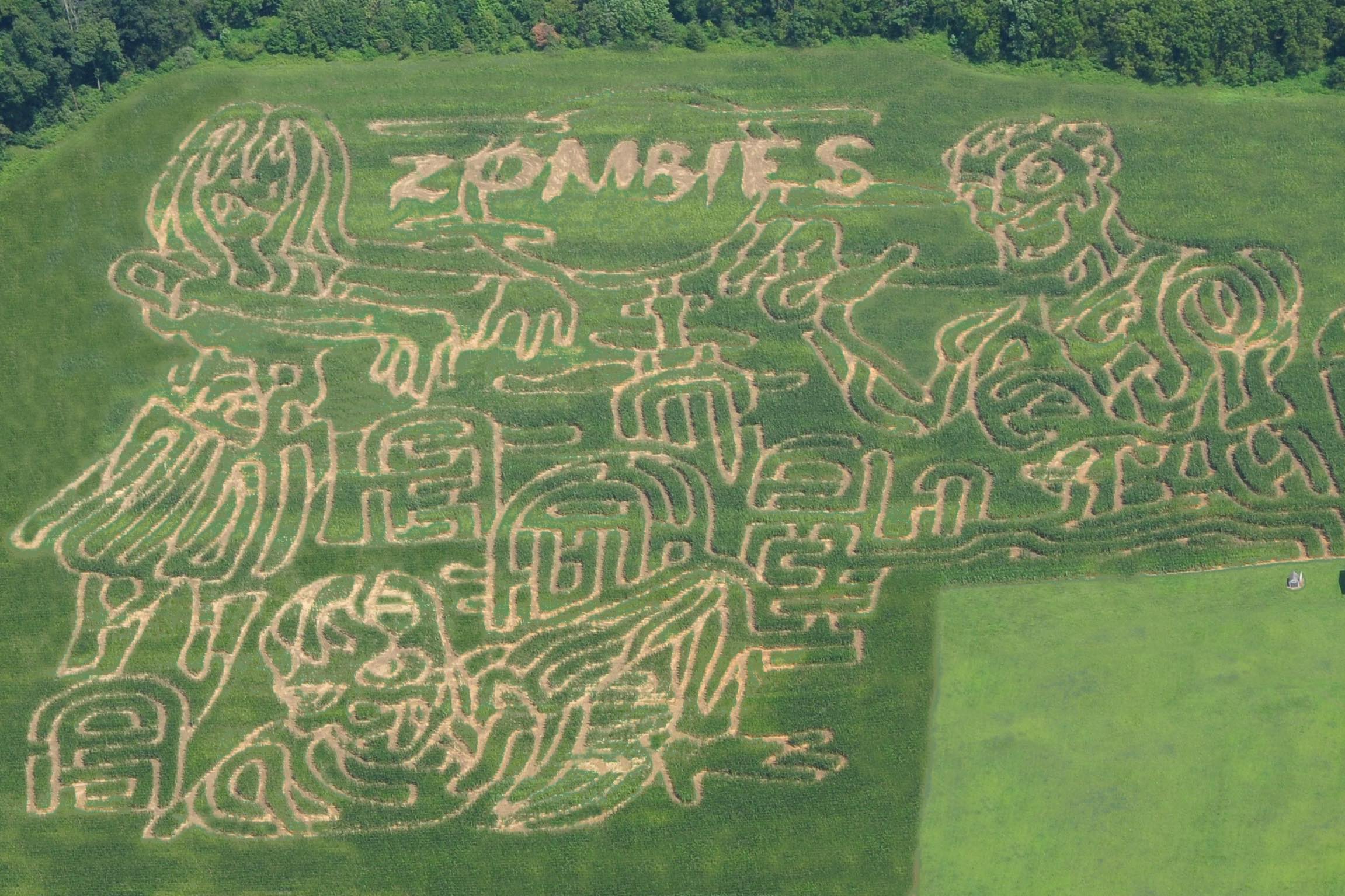 corn mazes near philadelphia