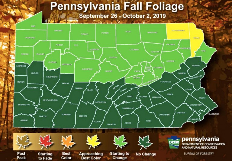 Here’s When Pa. Will Reach Peak Fall Foliage This Year