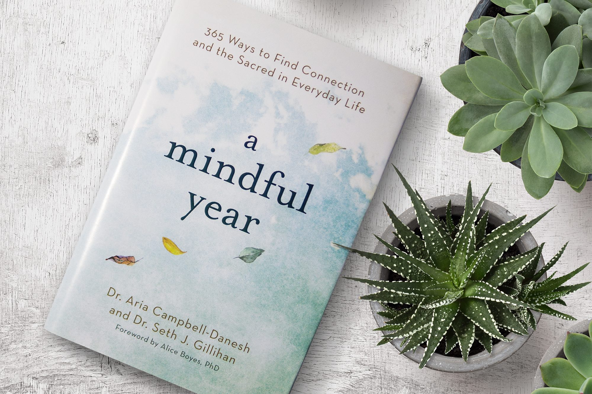mindful practices book