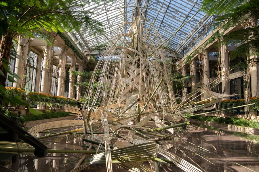 Around Town New Blooms Bamboo At Longwood Gardens