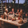 group of people drinking
