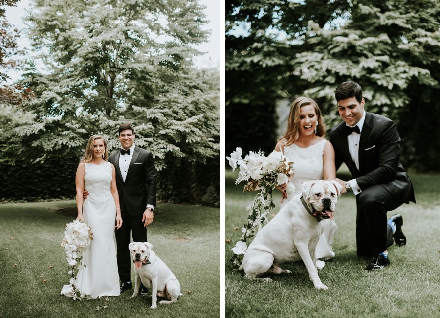 Bride, groom and dog portrait