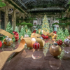 Longwood Gardens Christmas 2019