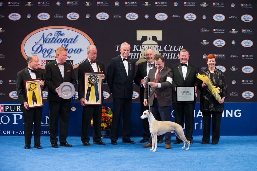 national dog show