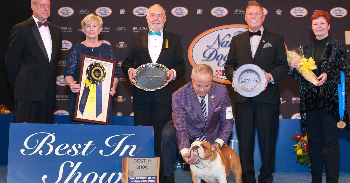 Q&A With the Owner of Thor, the Bulldog Who Won the National Dog Show