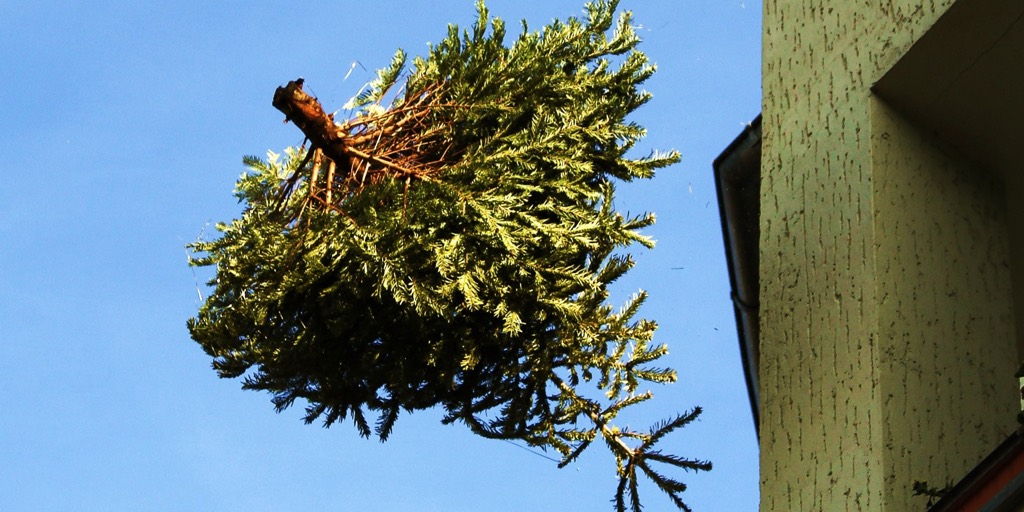 New Kensington Pa Christmas Tree Recycling 2022 Here's How To Recycle Your Christmas Tree In Philly - Philadelphia Magazine