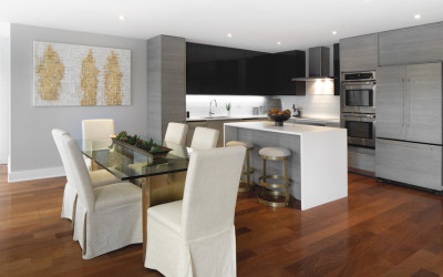 presidential city Washington 2BR penthouse apartment kitchen