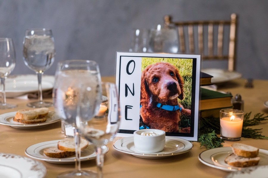 Dog wedding decor