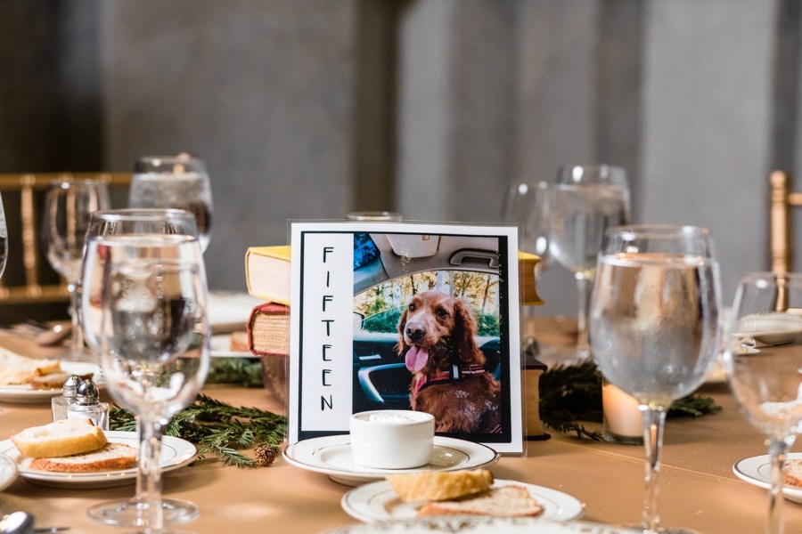 Dog wedding decor