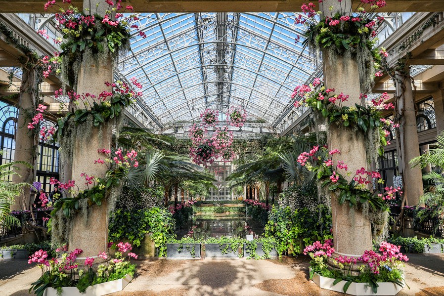 Here's Where to Go to See the Flowers Bloom This March - Philadelphia ...