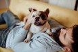 pet health benefits