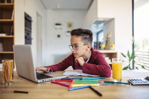 private schools remote learning