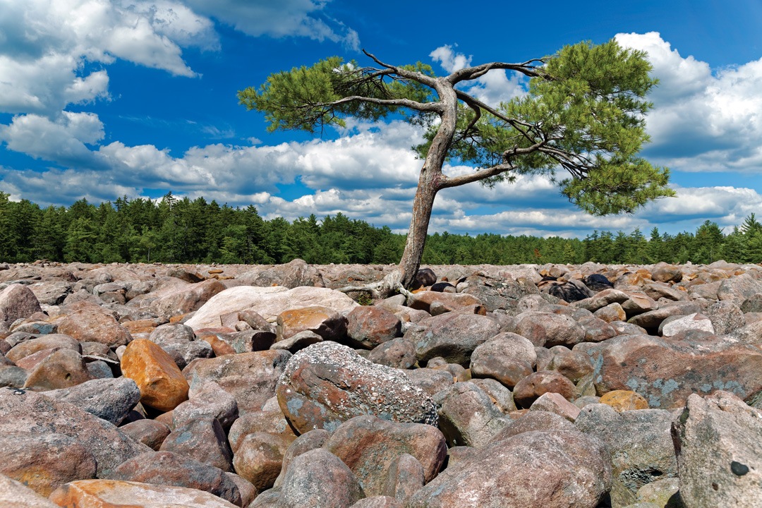 Your Guide to Hiking and Exploring Hickory Run State Park