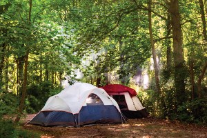 lums pond state park
